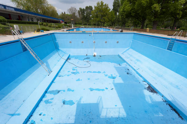 Best Water damage restoration experts  in Lenexa, KS