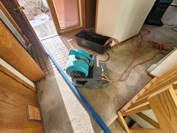 Best Flood restoration services  in Lenexa, KS
