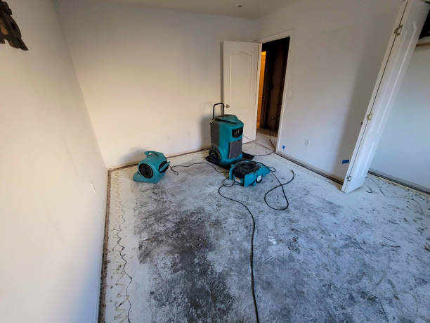 Best Carpet water damage restoration  in Lenexa, KS