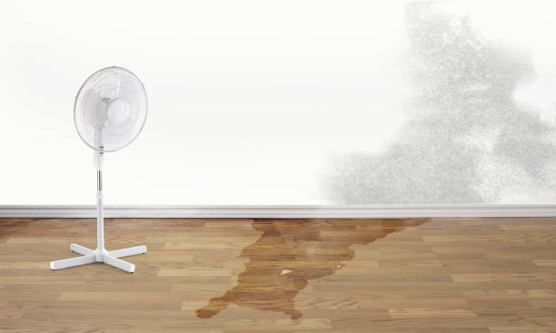 Reliable KS Water damage restoration Solutions